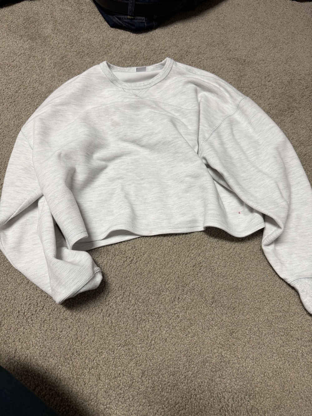Aritzia Light Gray Cropped Crewneck Sweatshirt